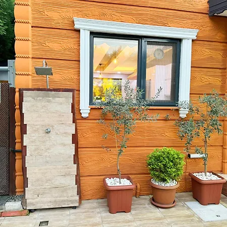 Vila Liggo Garden Muestakil Muhafazakar Isitmali Havuzlu *